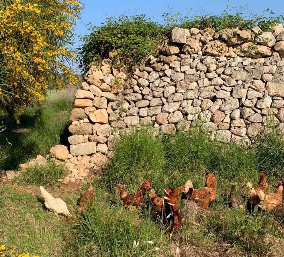 Valle Di Mare Country Resort Fontane Bianche Exterior photo